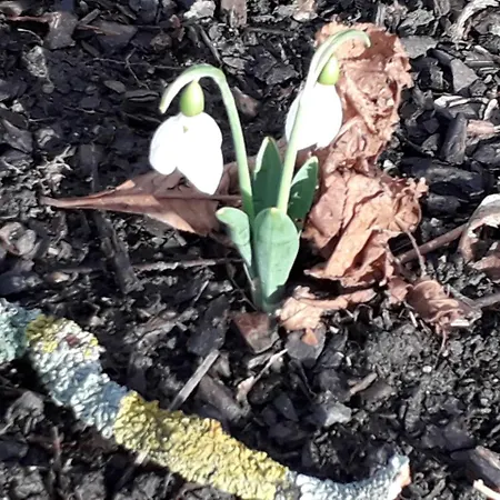 Hello Apartmanhaz Apartman *