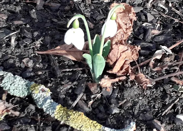 Hello Apartmanhaz Apartament *